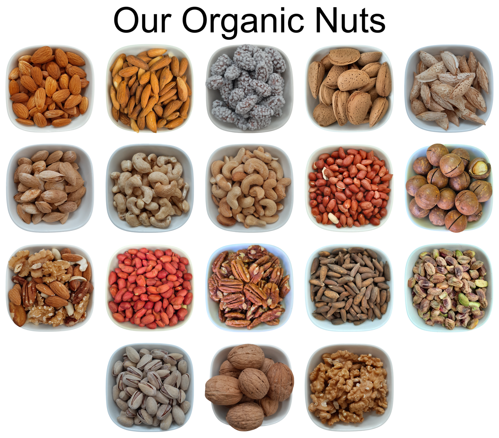 Egyptian Dates (Khajoor) – Natural Organic Premium-quality + Free sample!