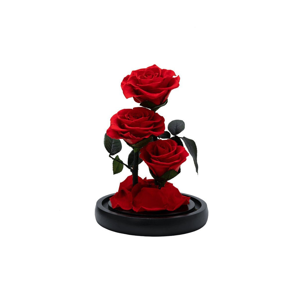 Three Lifetimes of Love in a Rose Box!