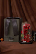 Three Lifetimes of Love in a Rose Box!